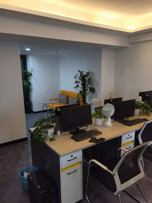 解析重慶誠(chéng)益贏商務(wù)信息咨詢 專(zhuān)業(yè)服務(wù)助力企業(yè)高效發(fā)展